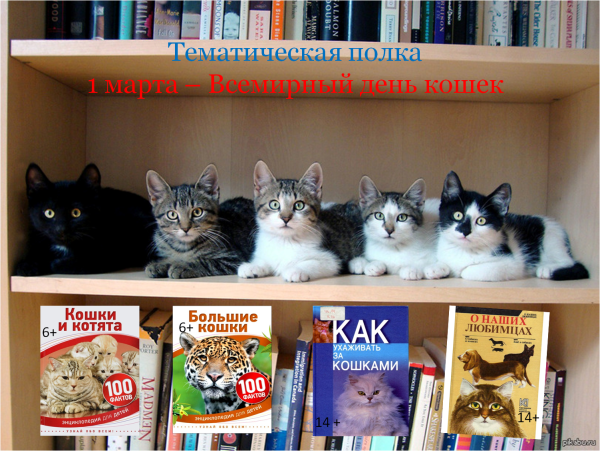 Всемирный день кошек открытки