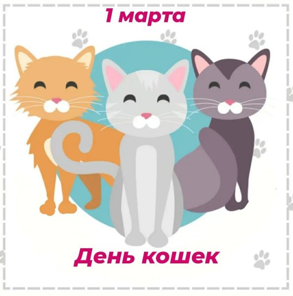 День кошек