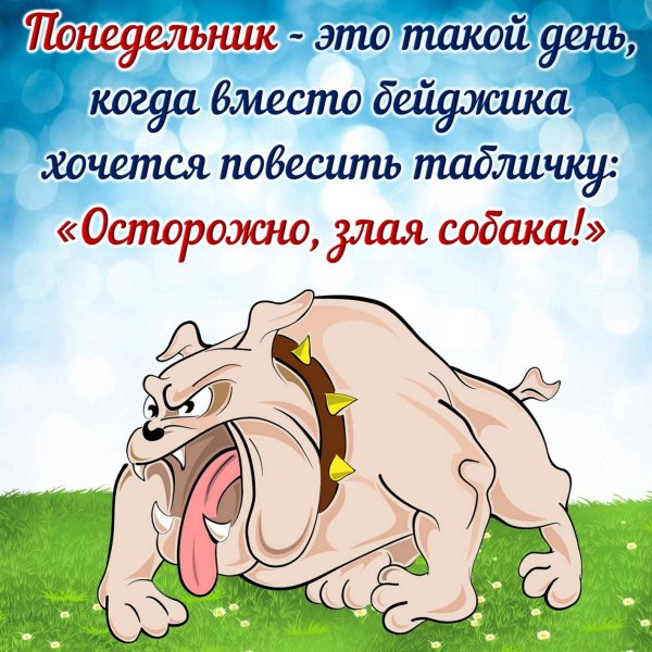 Открытки с понедельником прикольные