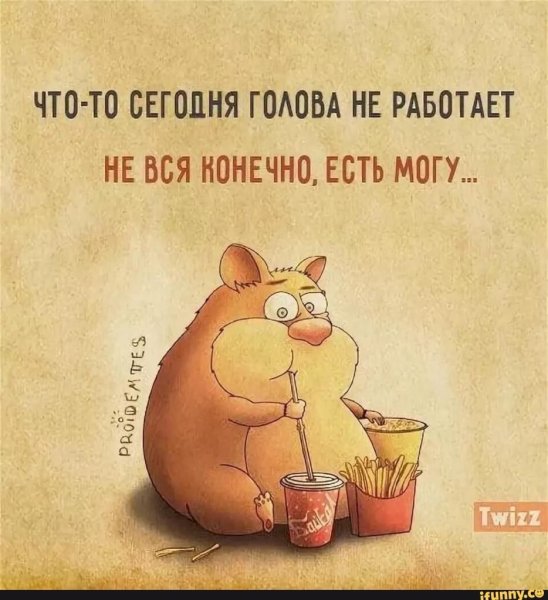 Цитаты про утро прикольные