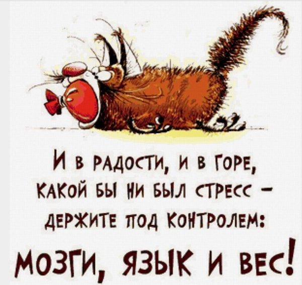 Веселые афоризмы на каждый день