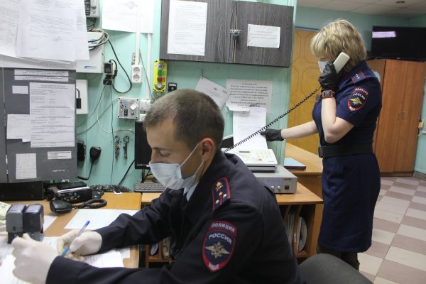 Дежурка полиция