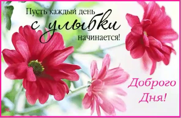 Красивые поздравления с добрым утром природа