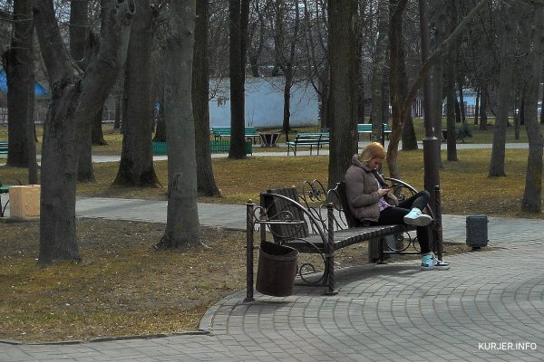 Г Владимир парк Добросельский зимой