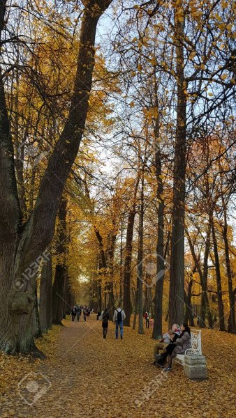Прогулка по парку в марте