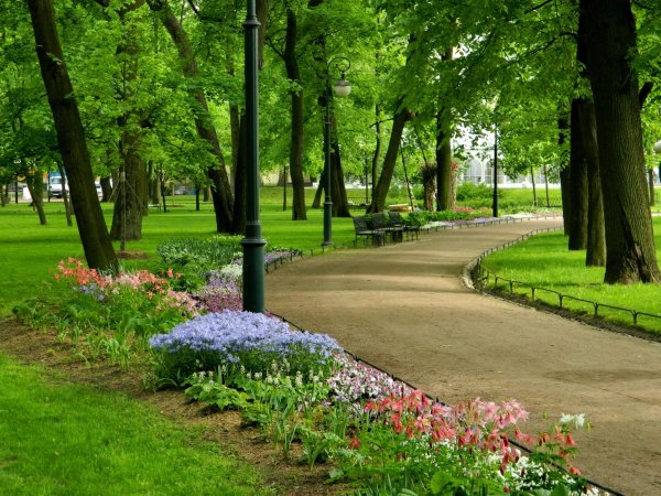 Вечерняя прогулка в парке