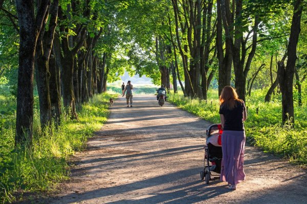 Прогулка в осеннем парке