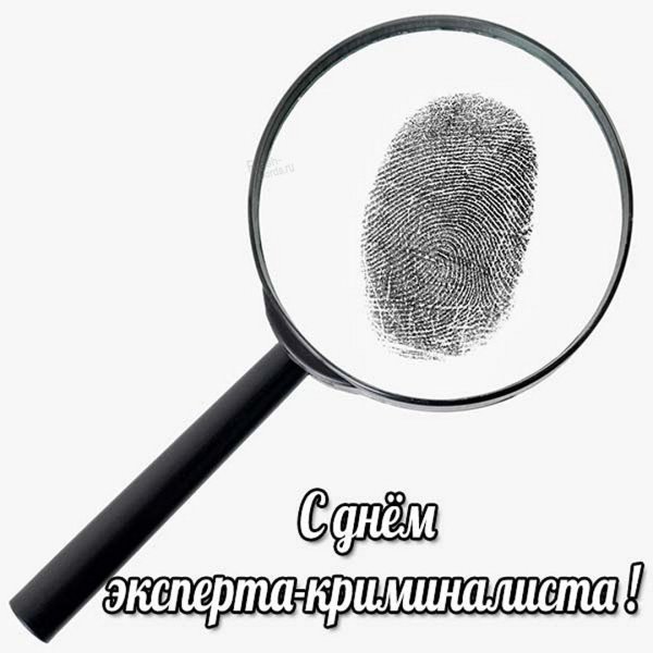 День эксперта-криминалиста МВД