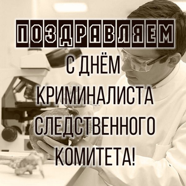 Фототехническая, Портретная экспертиза