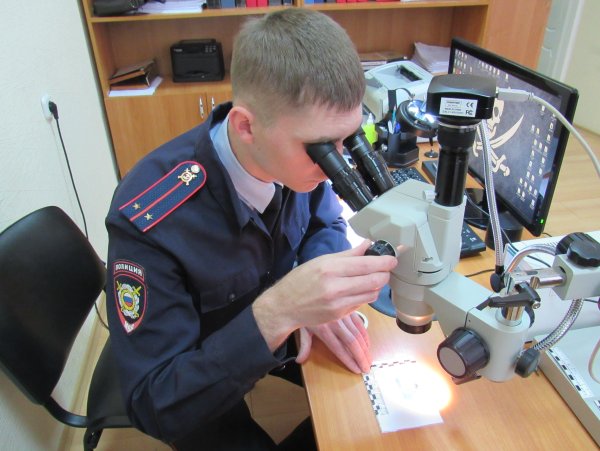 Эксперт криминалист