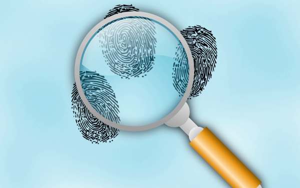 Эксперт криминалист криминалистика