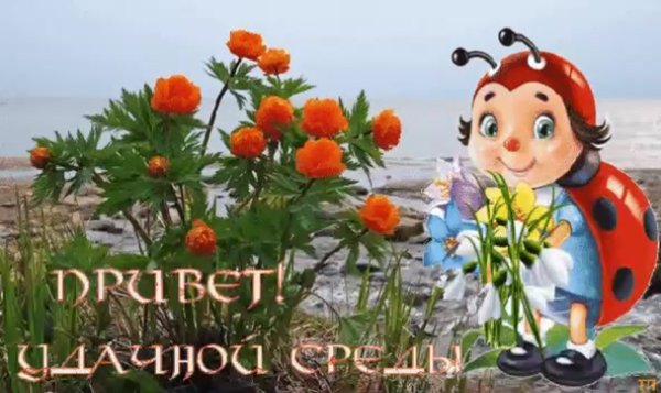 Открытки прекрасного настроения