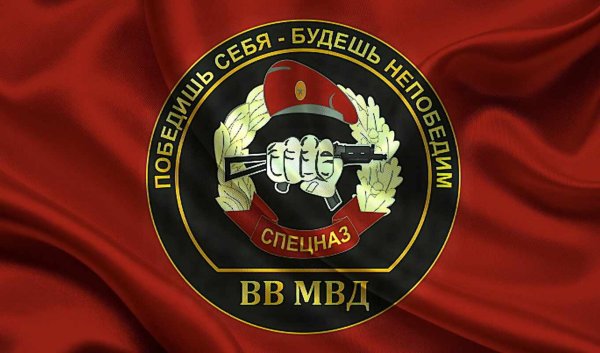 1 Августа 1994 г сформирован отряд спецназначения ВВ МВД Русь