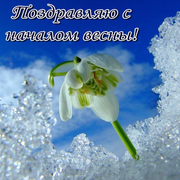 С первым весенним днем