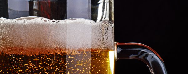День лёгкого пива 7 апреля