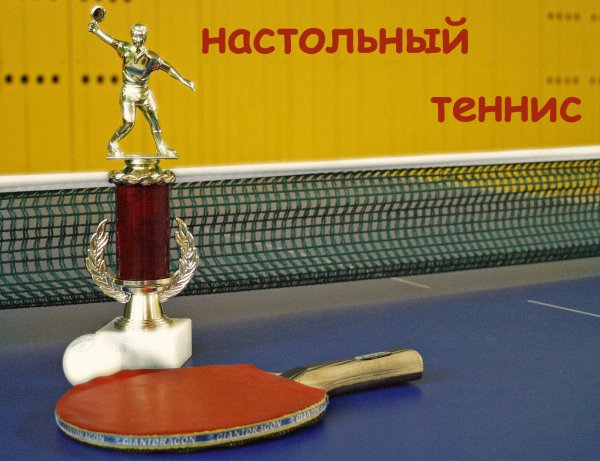 Настольный пинг понг