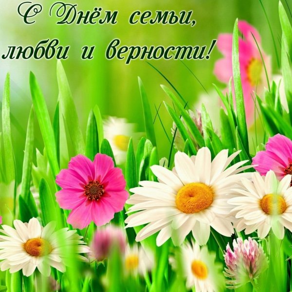С днем семьи открытки с поздравлениями