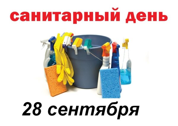 Санитарный день