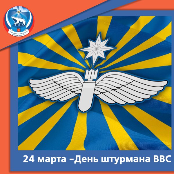 Штурман ВВС РФ