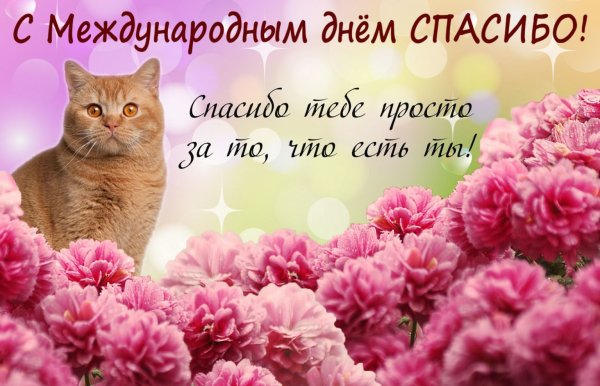 Международный день спасибо поздравления