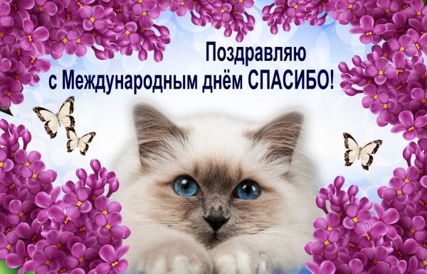 Всемирный день благодарности
