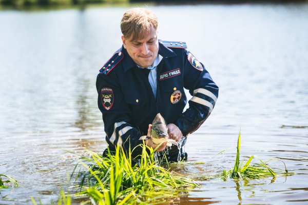 Савенков Николай Константинович