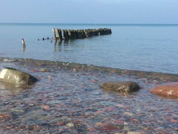 Всемирный день Балтийского моря