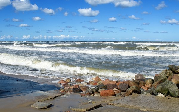 Комарово Балтийское море
