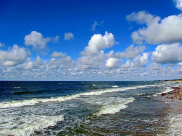 Ганзен Балтийское море