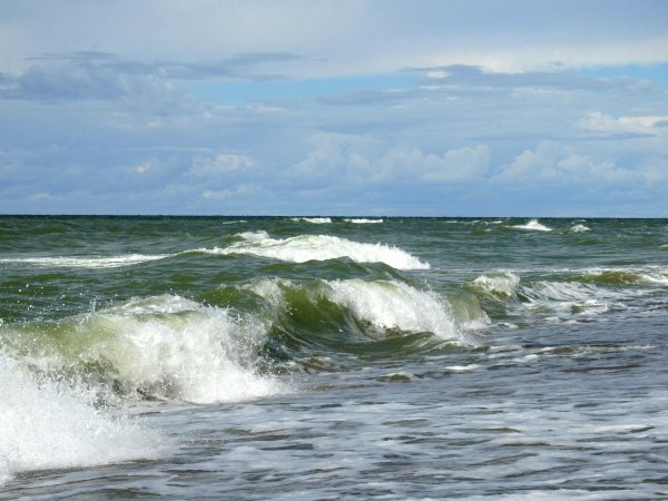 Балтийское море Калининград закат