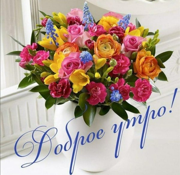 С добрым утром цветы