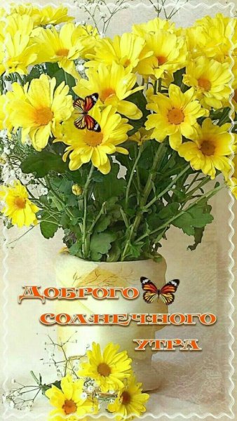 Солнечного утра и хорошего настроения