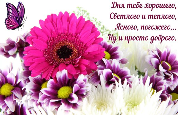 Открытка всего самого хорошего