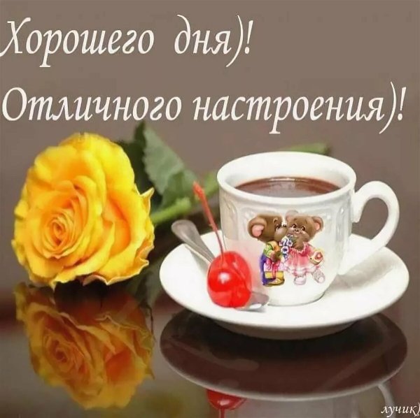 Удачного дня и хорошего настроения