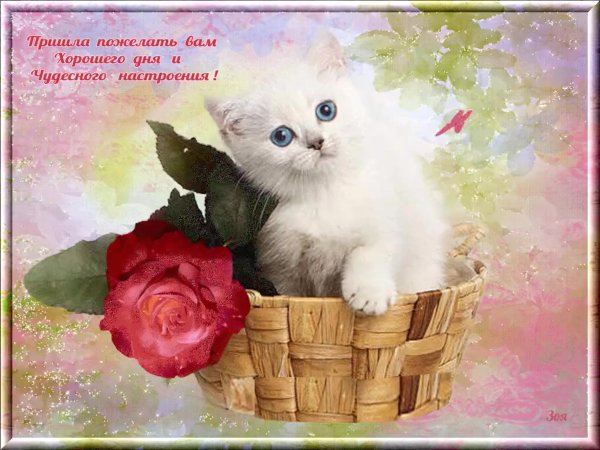 Отличного настроения
