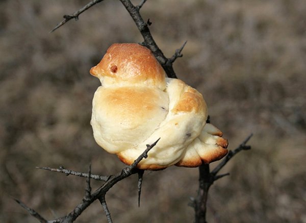 Сороки Жаворонки