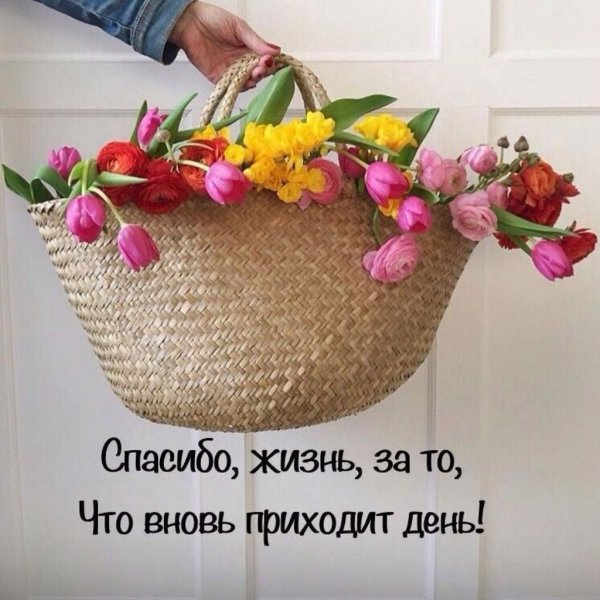 Доброе утро жизнь продолжается