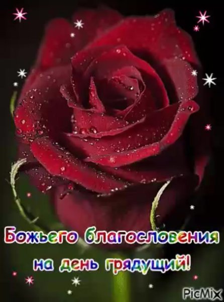 Божьих благословений