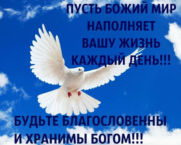 Пожелания мира и добра Божьих благословений