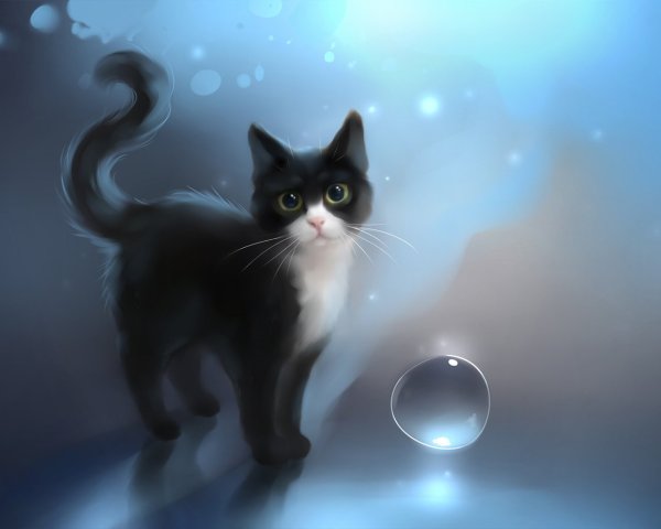 Пазл кошка