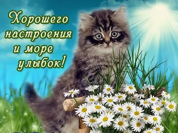 Открытки с наступлением весны