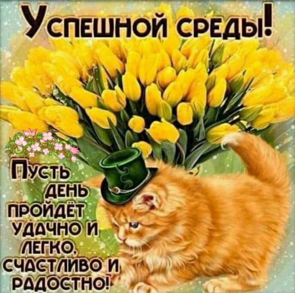 Открытки со средой