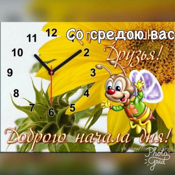 Открытки доброе утро понедельника