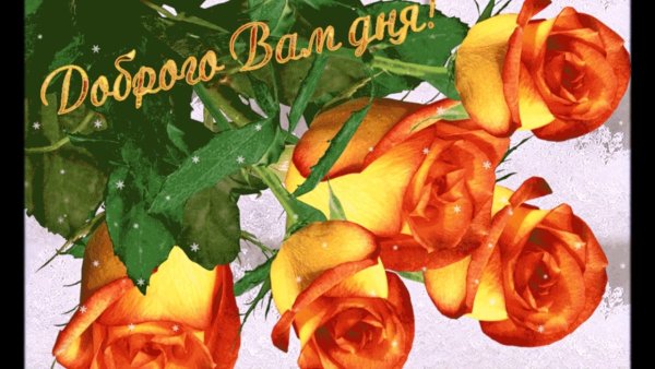 Добрый день анимация
