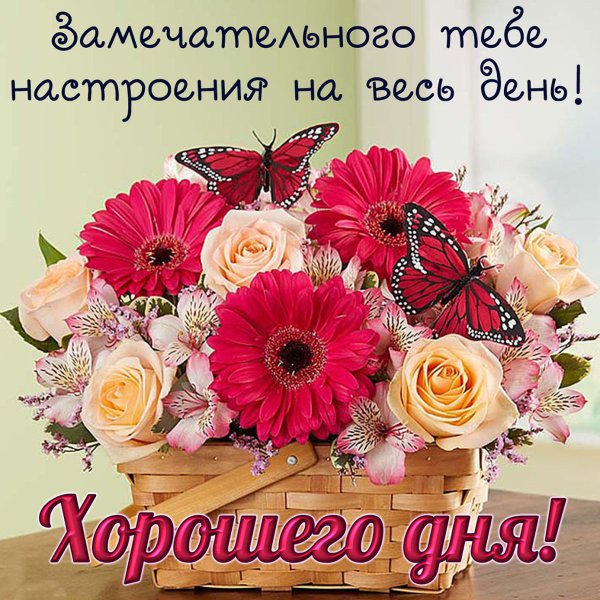 Открытки хорошего дня