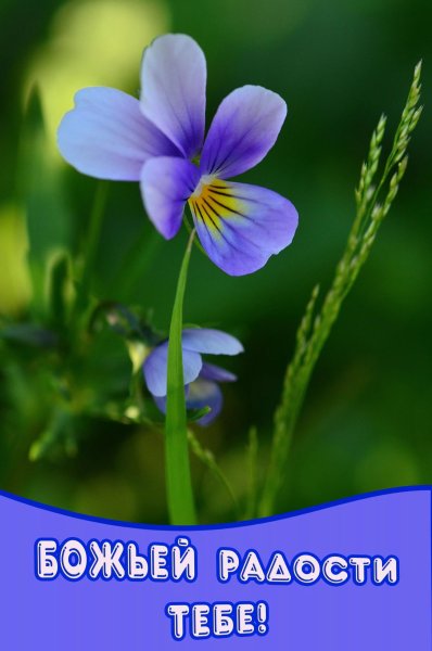 Божьего благословения на день