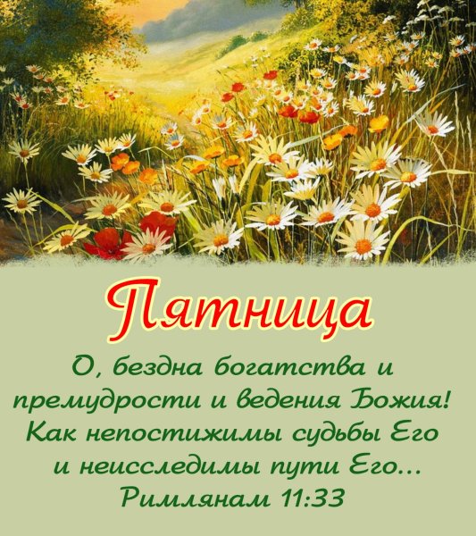 Красивые поздравления с добрым утром природа