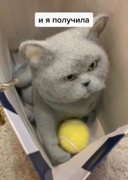 День валяния дурака картинки