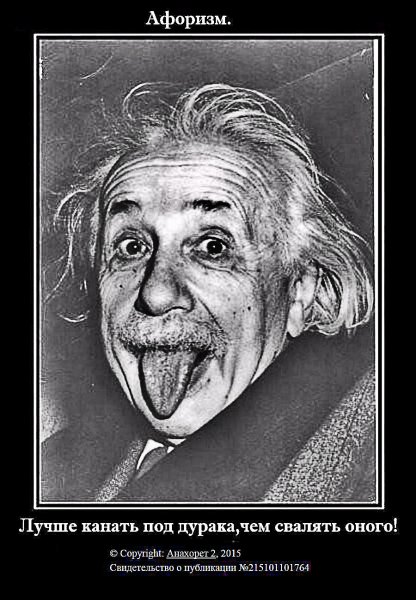 Афоризмы про дураков