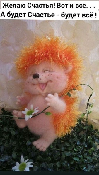 С добрым утром Ежик